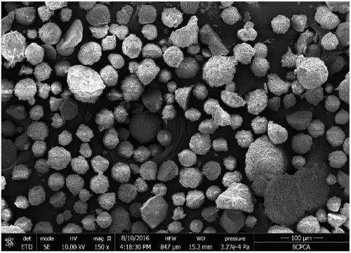 Carbon-fixing rhodococcus and application thereof