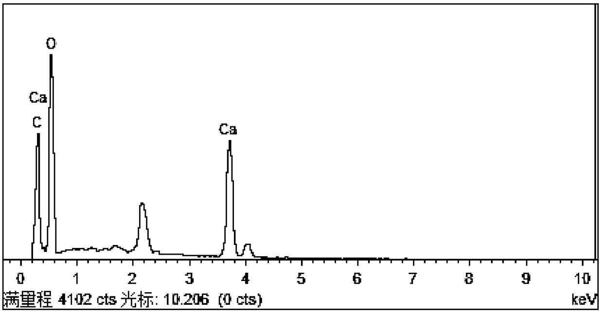 Carbon-fixing rhodococcus and application thereof