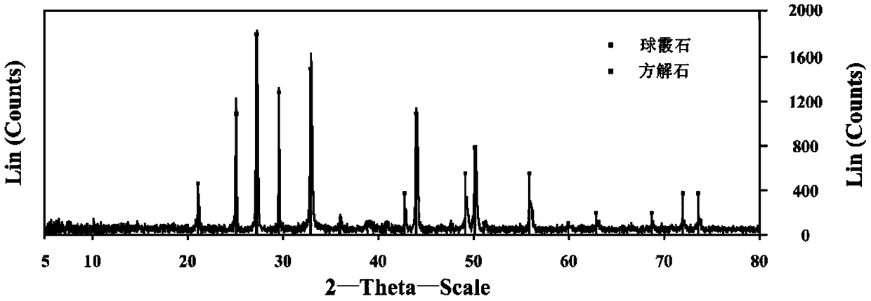 Carbon-fixing rhodococcus and application thereof