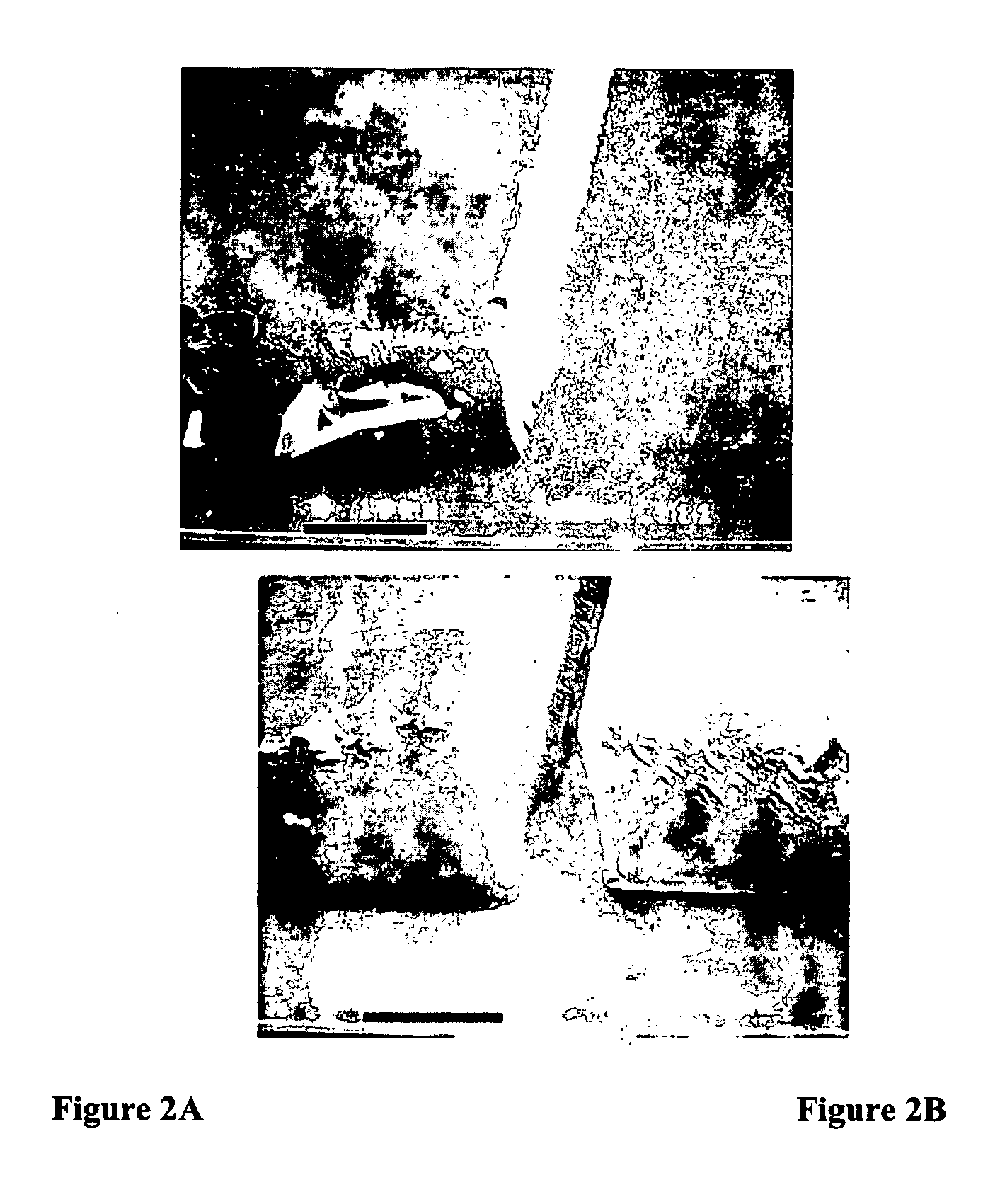 Photolytic Polymer Surface Modification