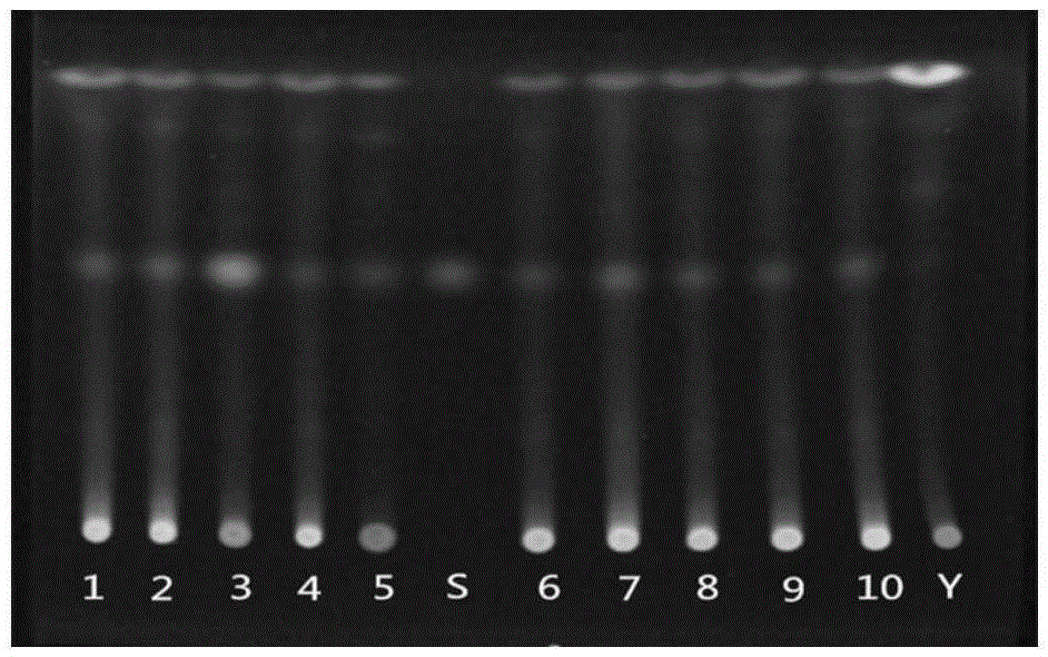 Medicated leaven thin-layer chromatography detecting method