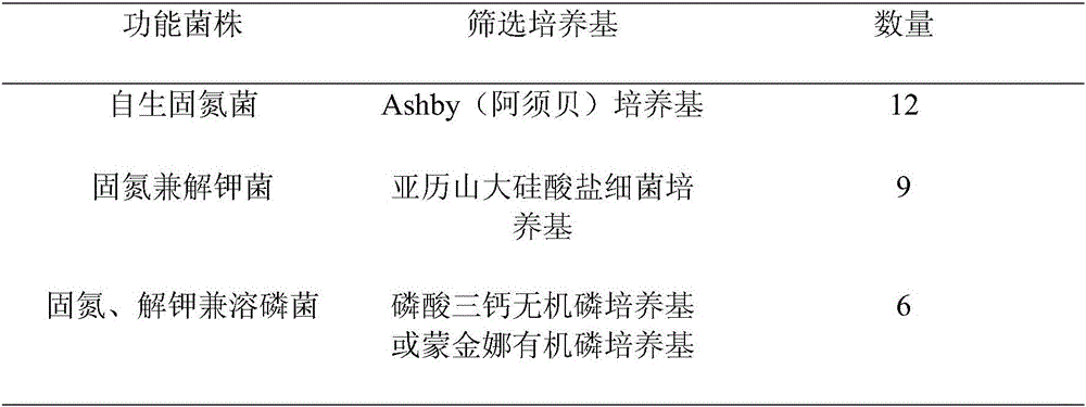 Germination-promoting bacillus and application thereof