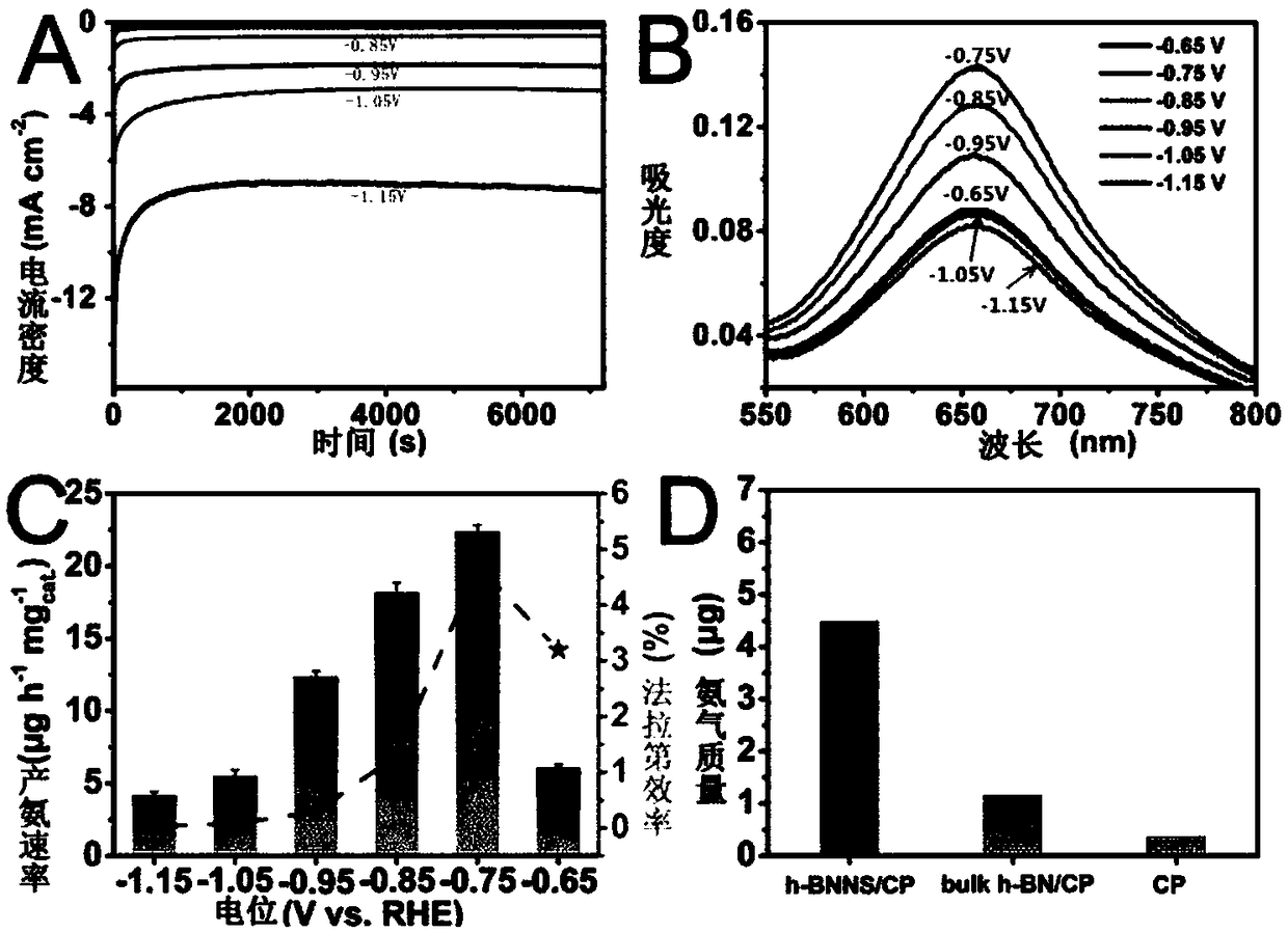 Application of BN to electrochemical ammonia production