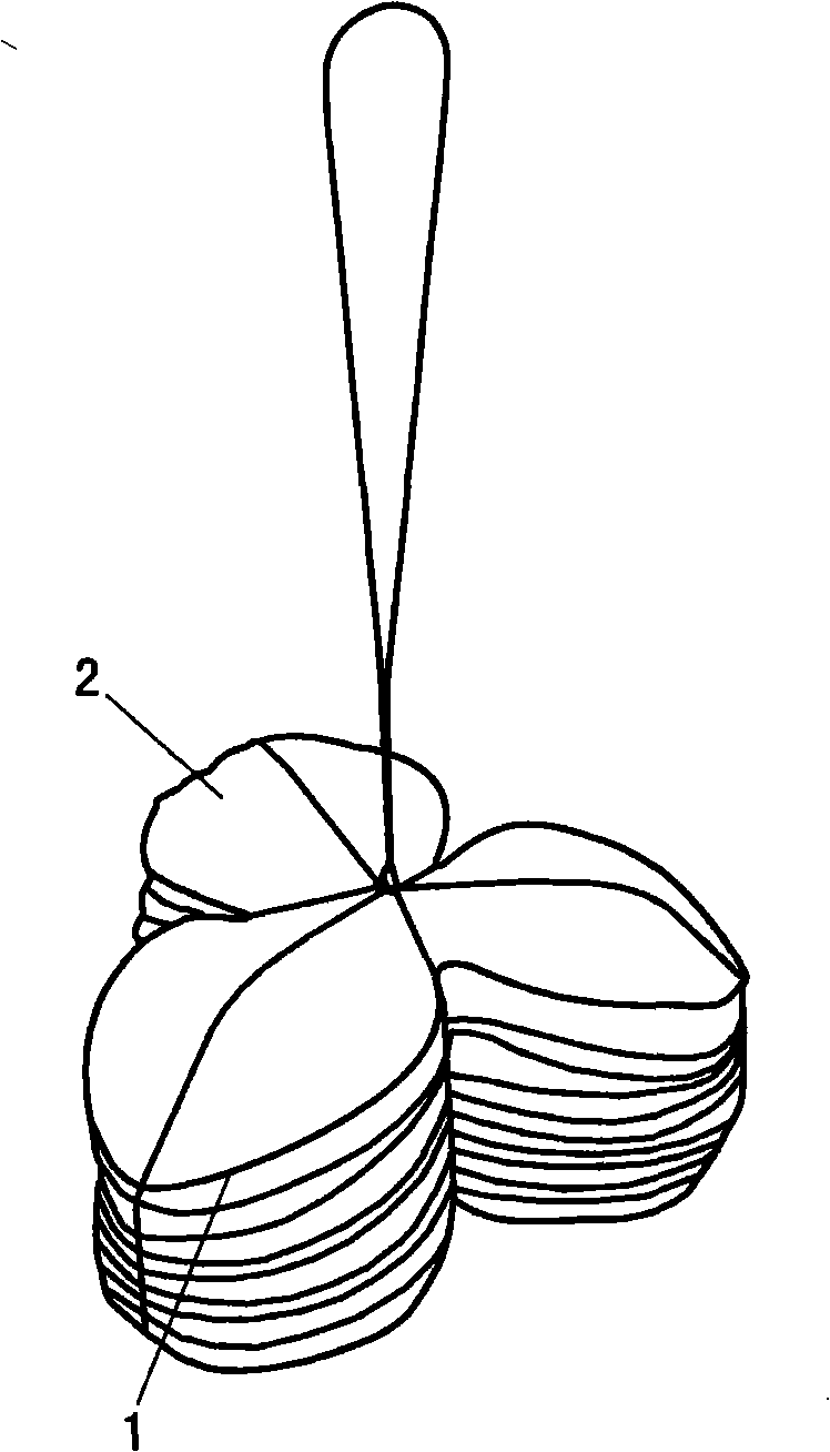 Preparation method of old citrus reticulata blanco convenient for storing