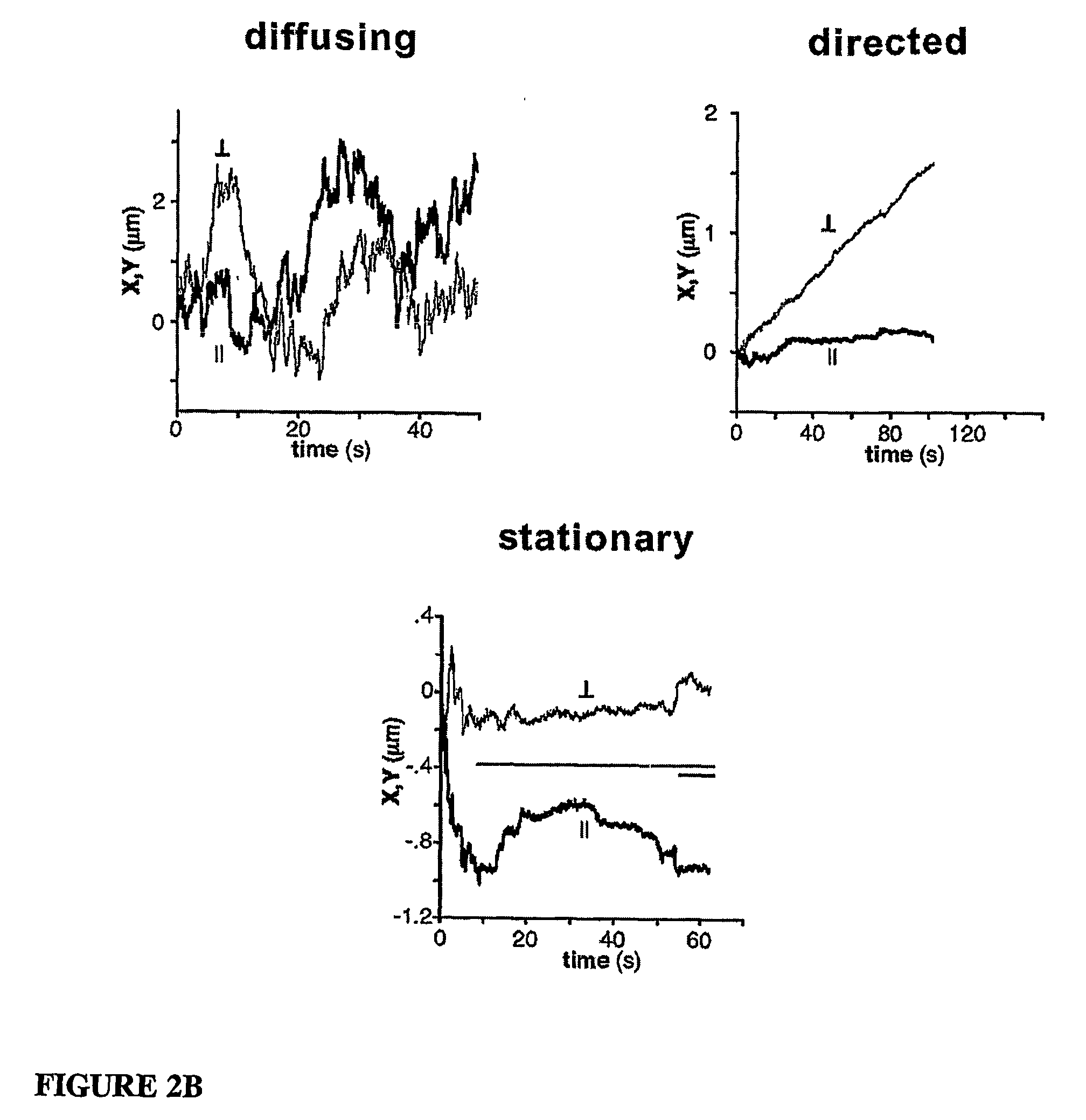 Methods and agents for treating axonal damage, inhibition of neurotransmitter release and pain transmission, and blocking calcium influx in neurons