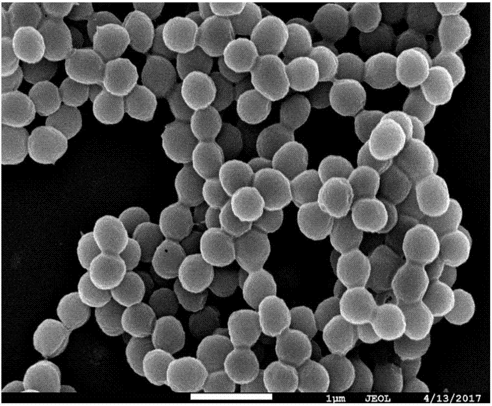 Multipolymer micro-nano particles and preparation method thereof