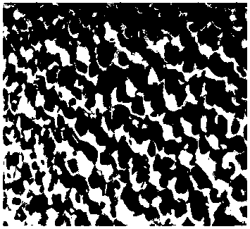 TiO2 photocatalyst and preparation method thereof