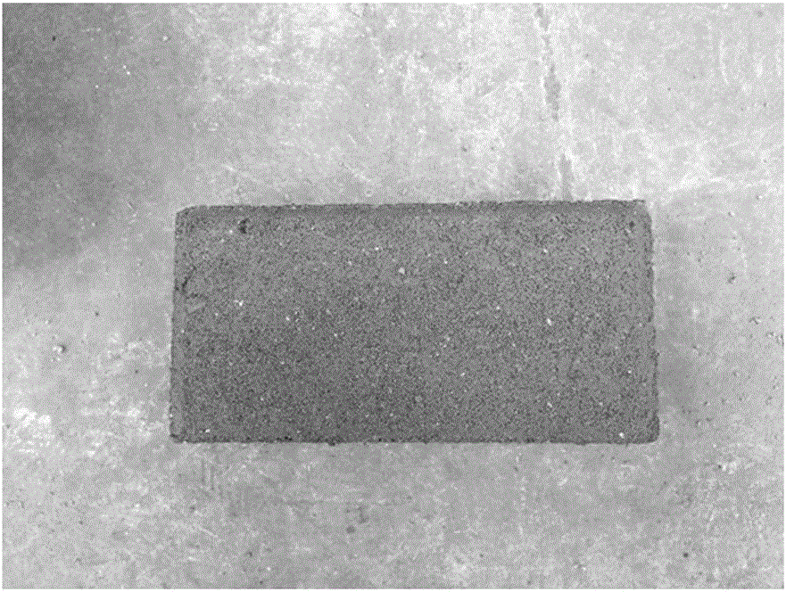 Biomass-ash-residue brick as well as preparation method and application thereof