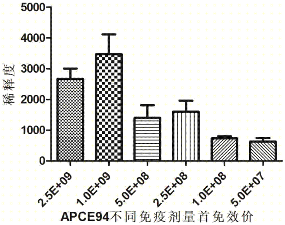 Inactivated vaccine for poultry pathogenic escherichia coli and preparation method thereof