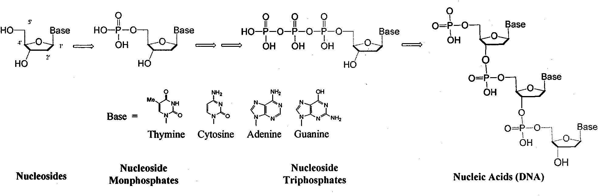 Structure and synthesis of novel nucleoside phosphate prodrug containing substituted benzyl