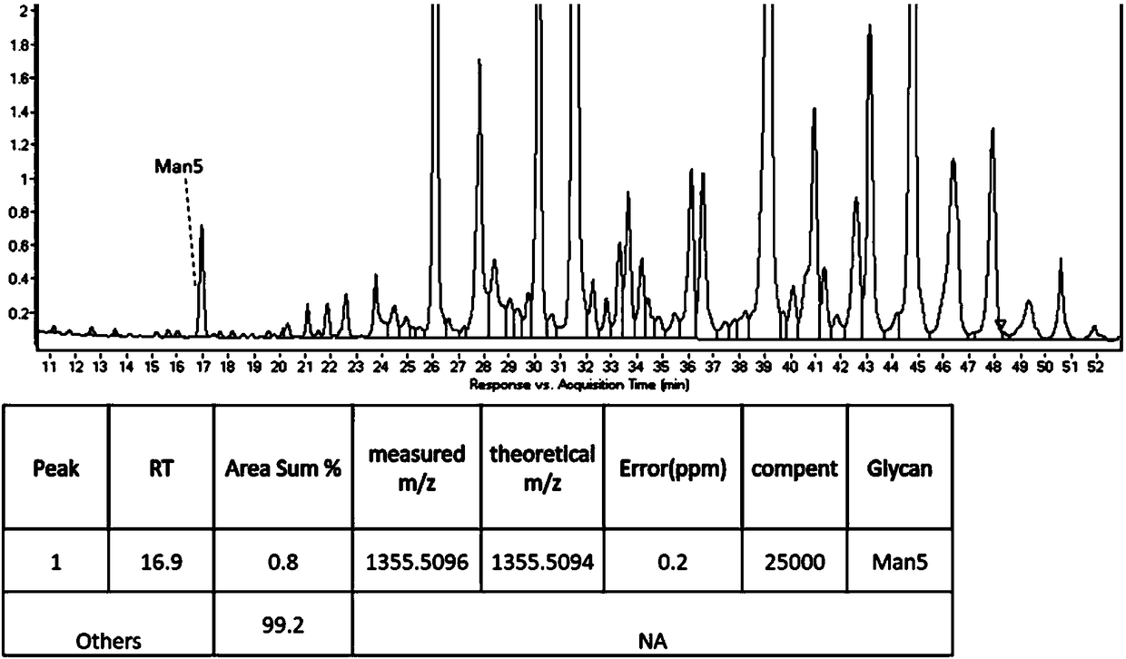 Cell strain capable of expressing glucocerebrosidase with high mannose content as well as preparation method and applications of cell strain