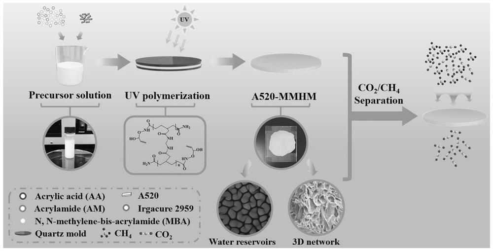 Preparation method of novel MOF-based hydrogel gas separation membrane