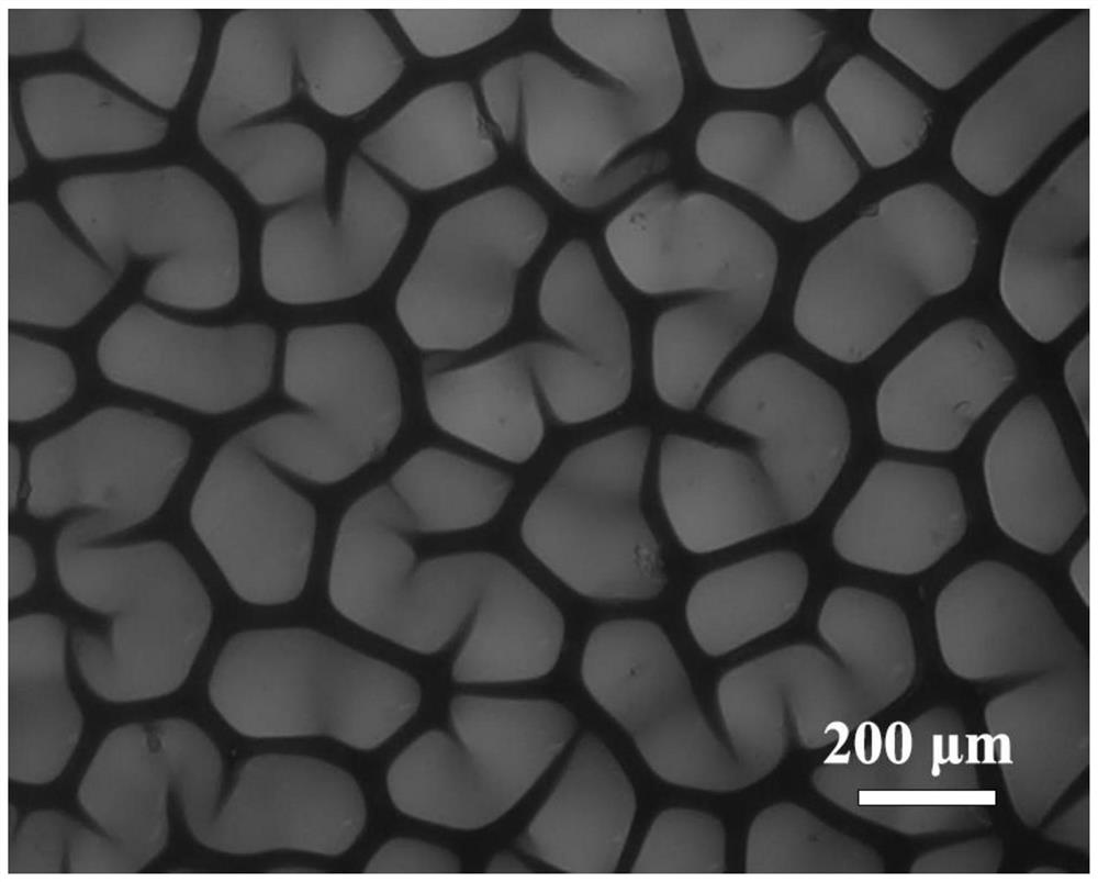 Preparation method of novel MOF-based hydrogel gas separation membrane