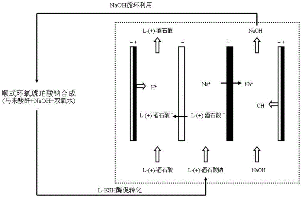 L-(+)-tartaric acid clean production process based on bipolar membrane electroosmosis technology