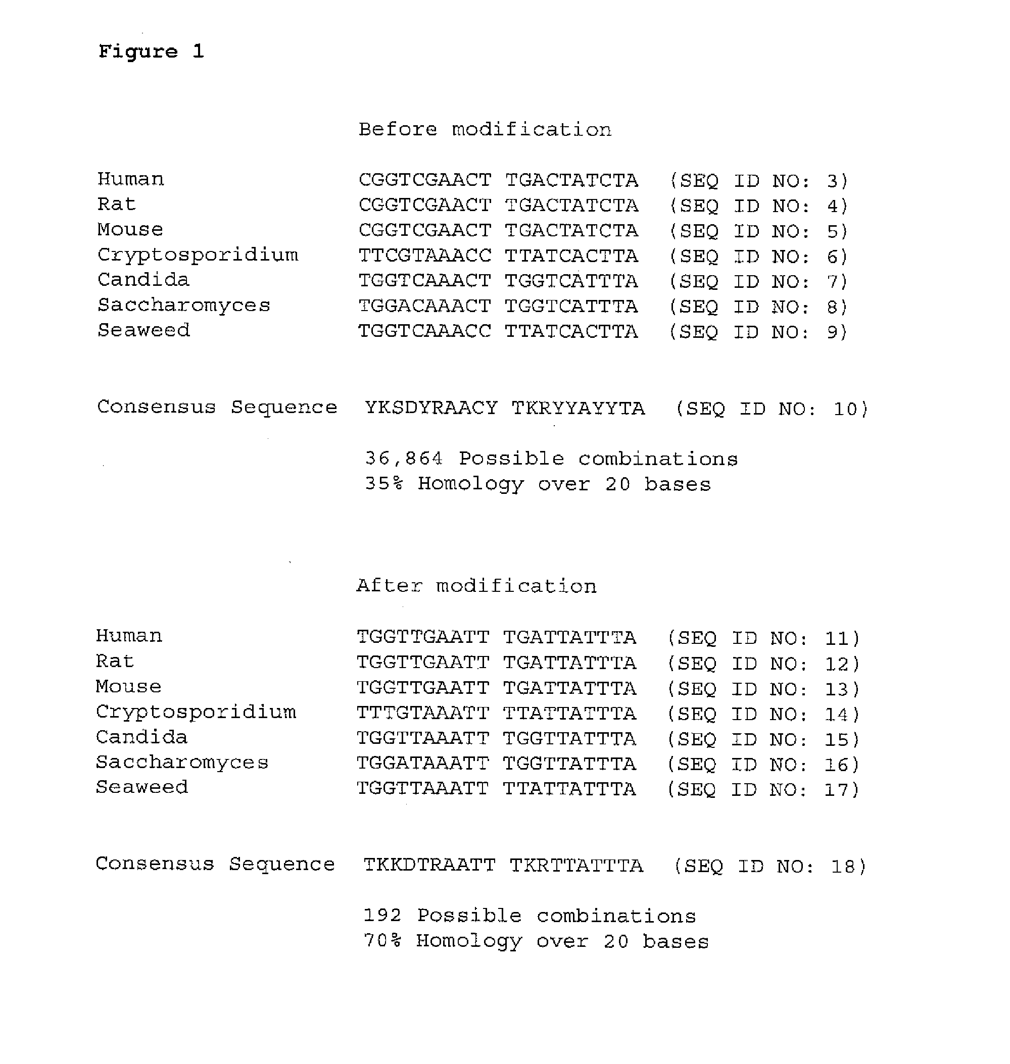 Detection of target nucleic acid