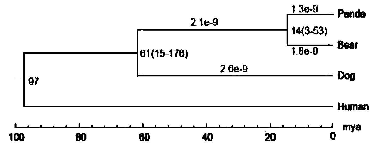 Heterozygous genome processing method