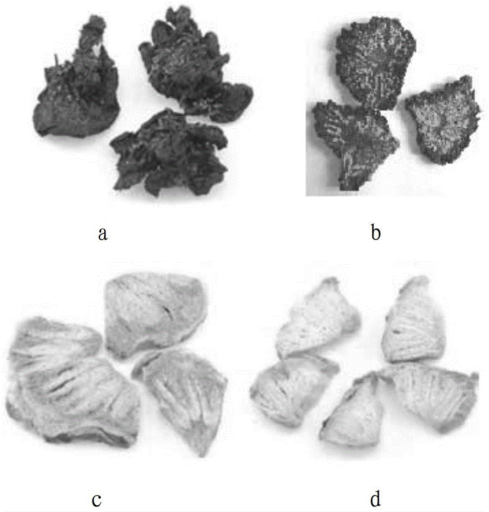 A kind of processing method of Cistanche medicinal material