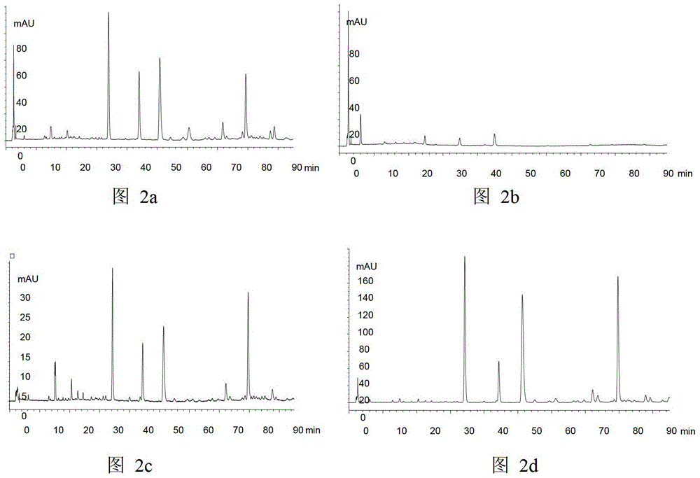 A kind of processing method of Cistanche medicinal material