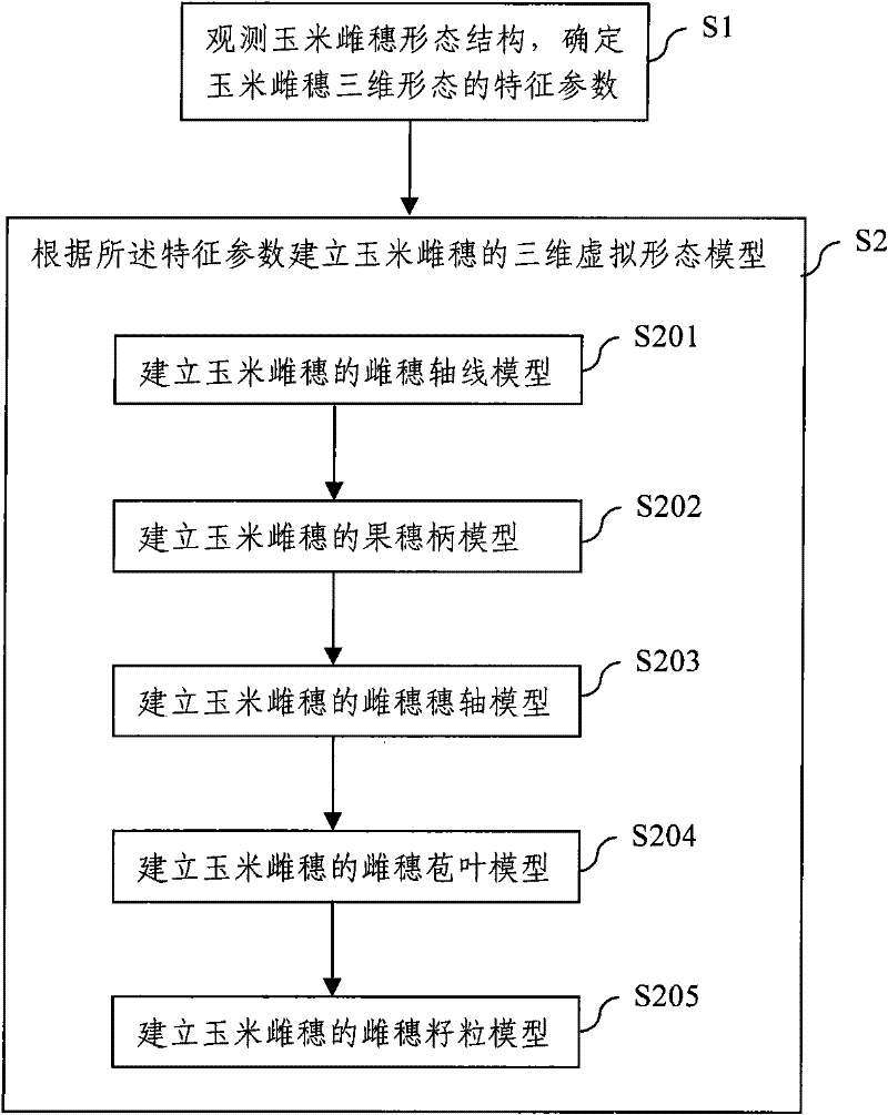 Three-dimensional morphological virtual modeling method of corn silk