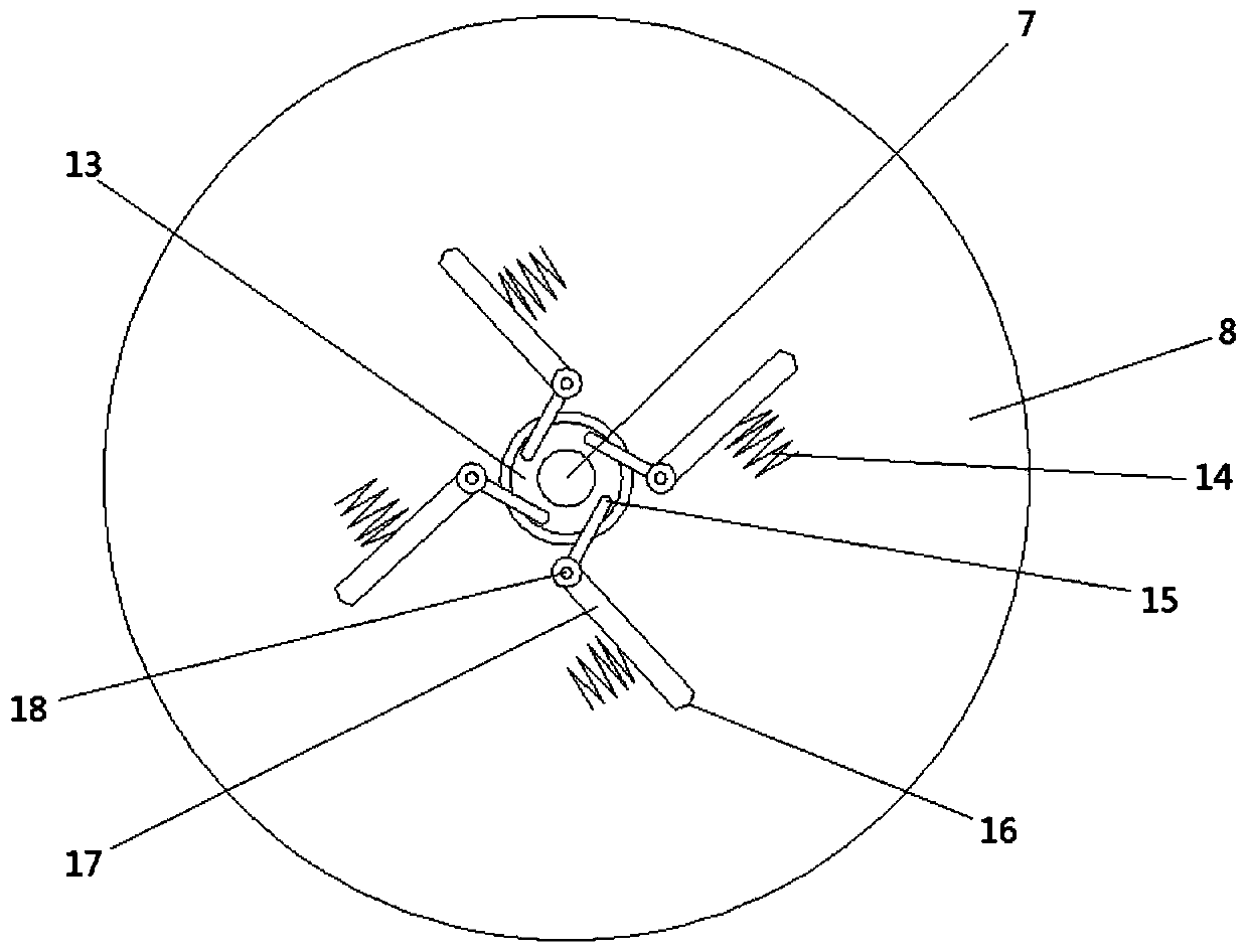 Rainwater recycling and filtering system