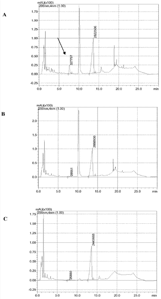 Novel 7alpha-hydroxysteroid dehydrogenase knockout mutants and use thereof