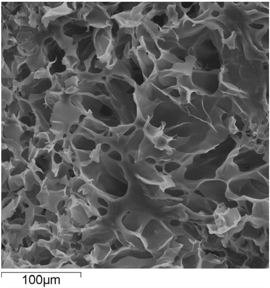 Preparation method of hydrogel, osteoblast containing hydrogel and preparation method of osteoblast containing hydrogel