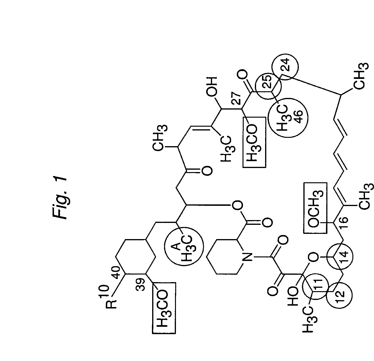 Macrocyclic lactone compounds and methods for their use