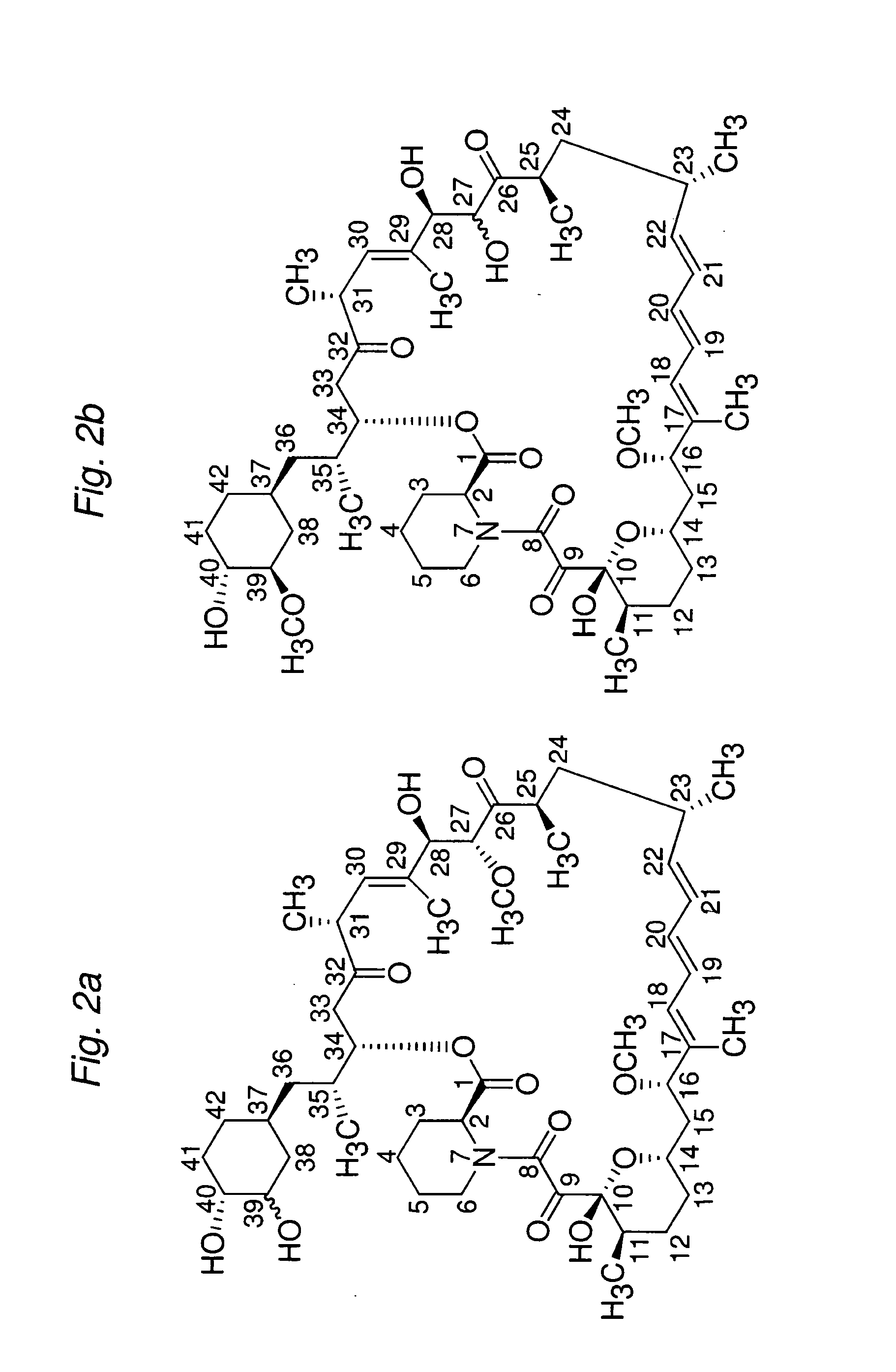 Macrocyclic lactone compounds and methods for their use