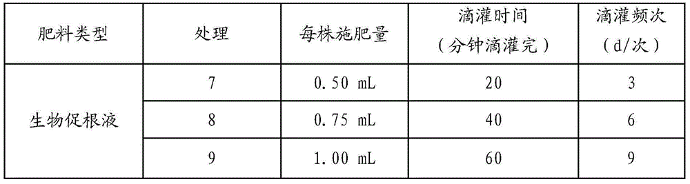 Water and fertilizer management method for rubber tree container seedling