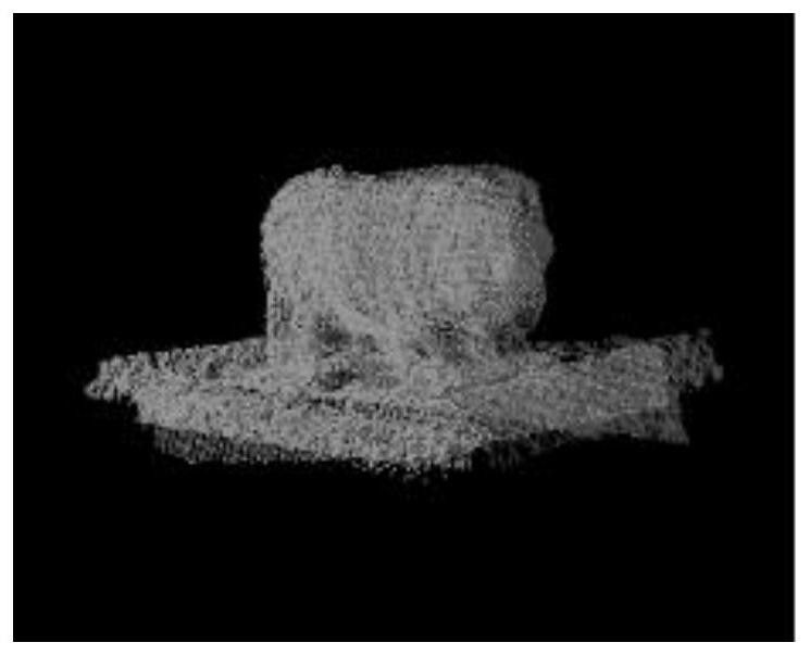 Pig body size parameter measuring method based on point cloud