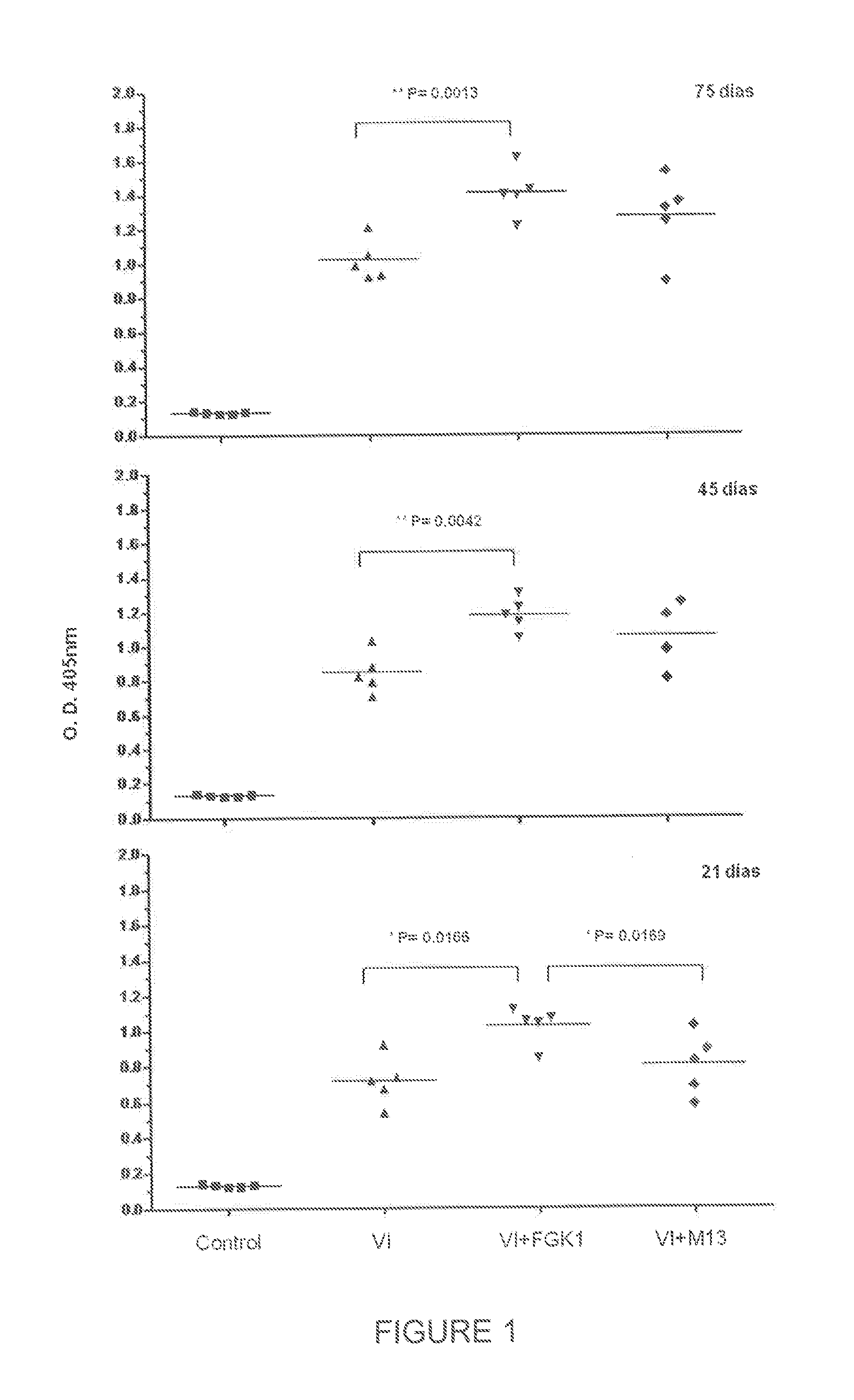 Use of gk-1 peptide expressed on m13 filamentous phage as pharmaceutical ingredient to enhance the efficiency of the immune response induced by vaccine or pathogen antigens