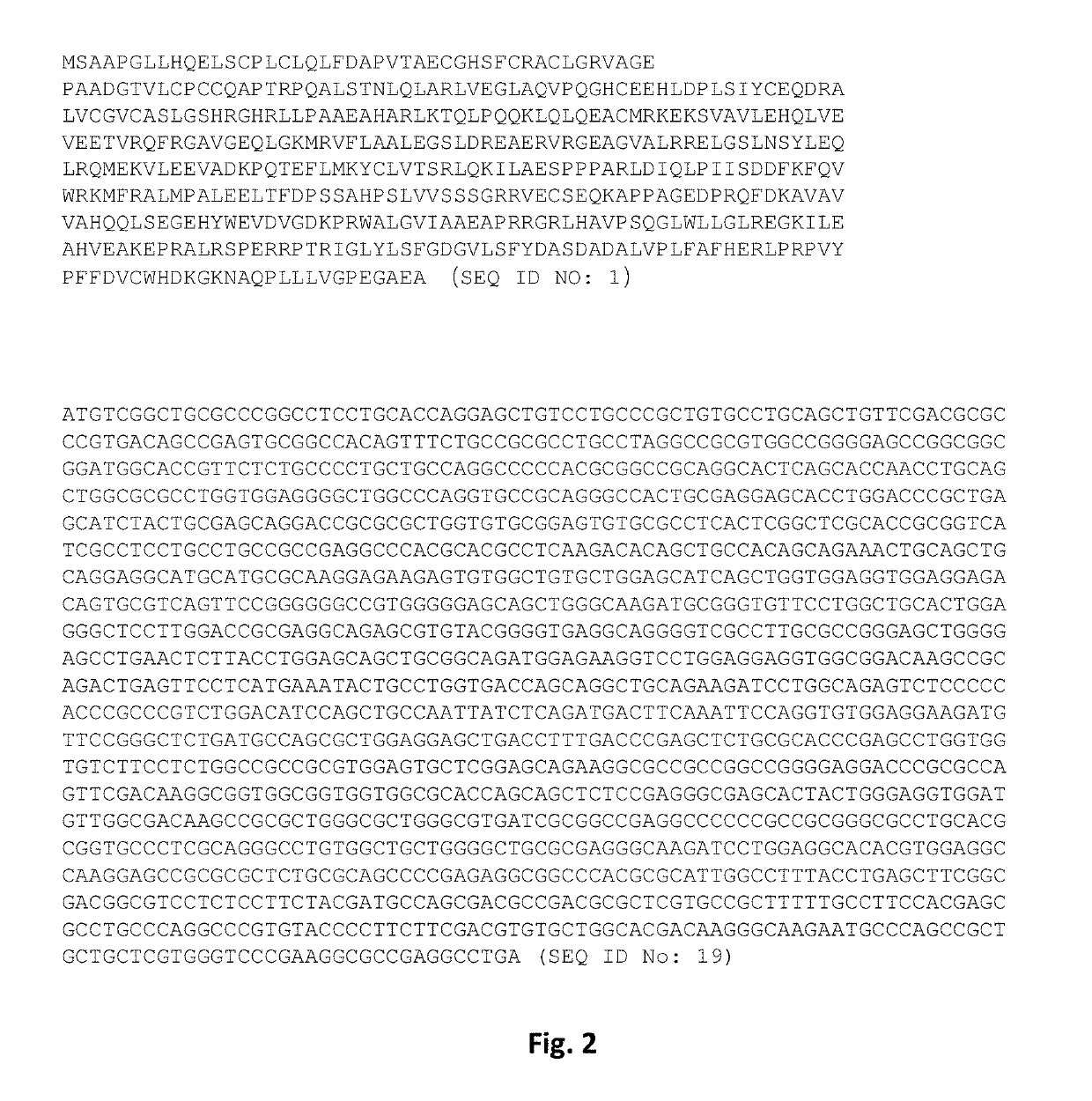 MG53 Mutants, Methods of Making the Same, and Uses Thereof