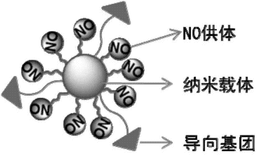 Targeting light-operated nitric oxide release nanometer composite material medicine system and preparation method thereof