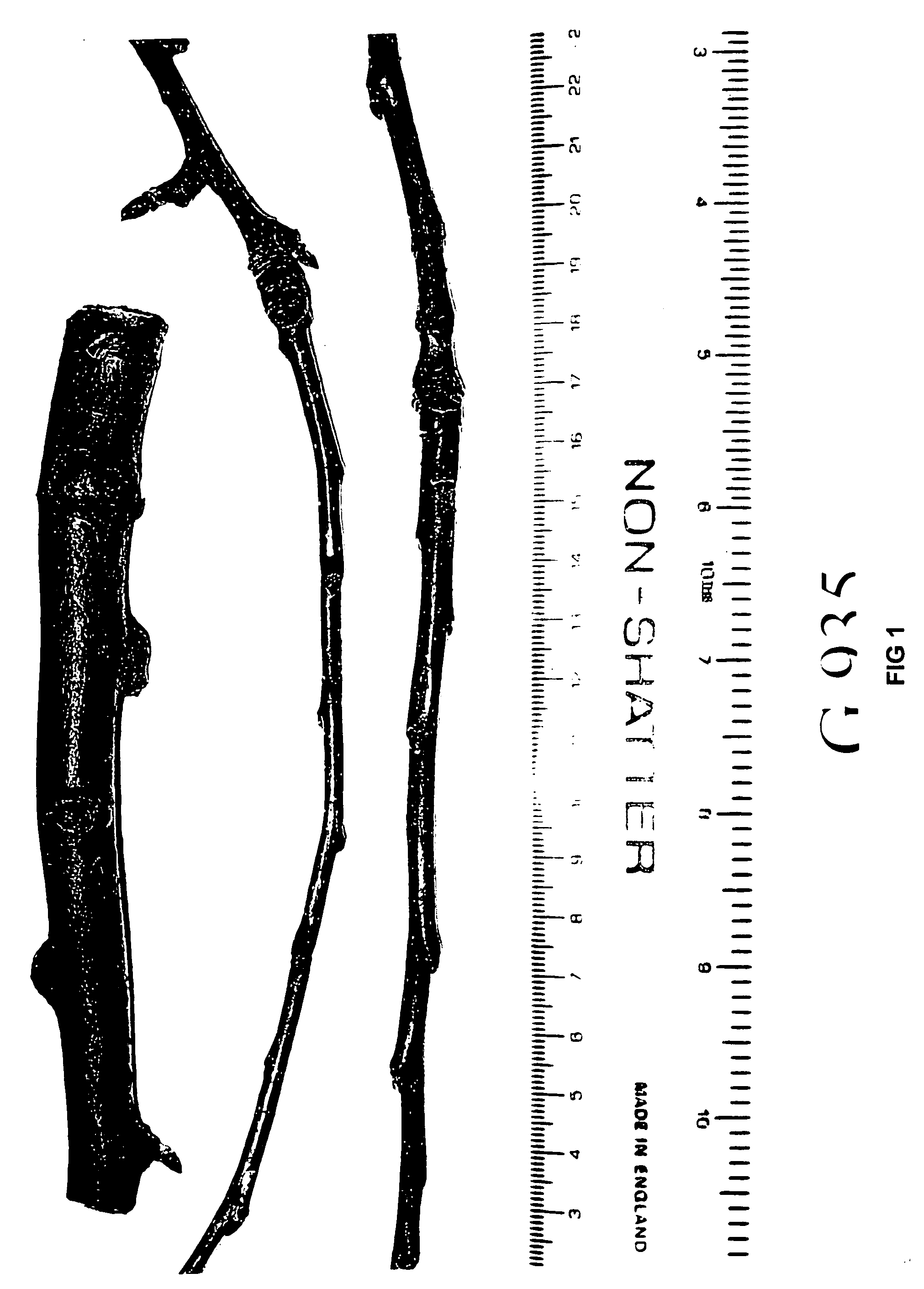 Apple tree rootstock named 'g.935'