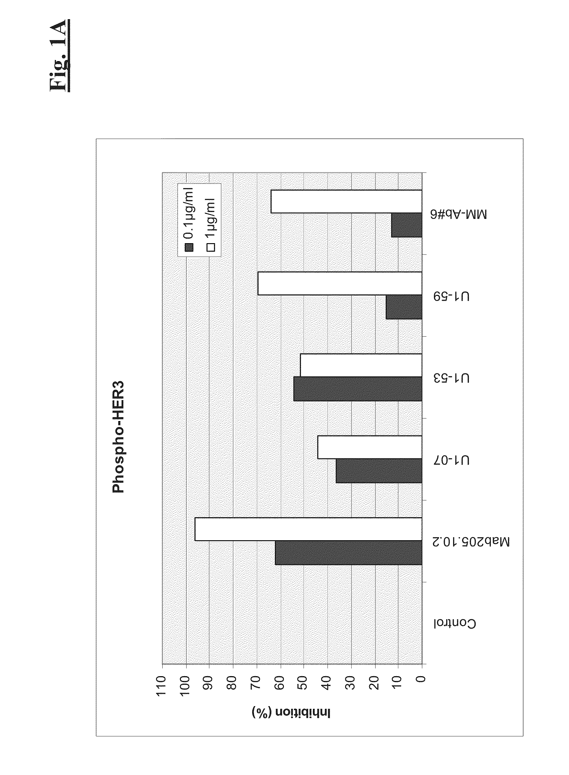 Combination therapy of Anti-her3 antibodies