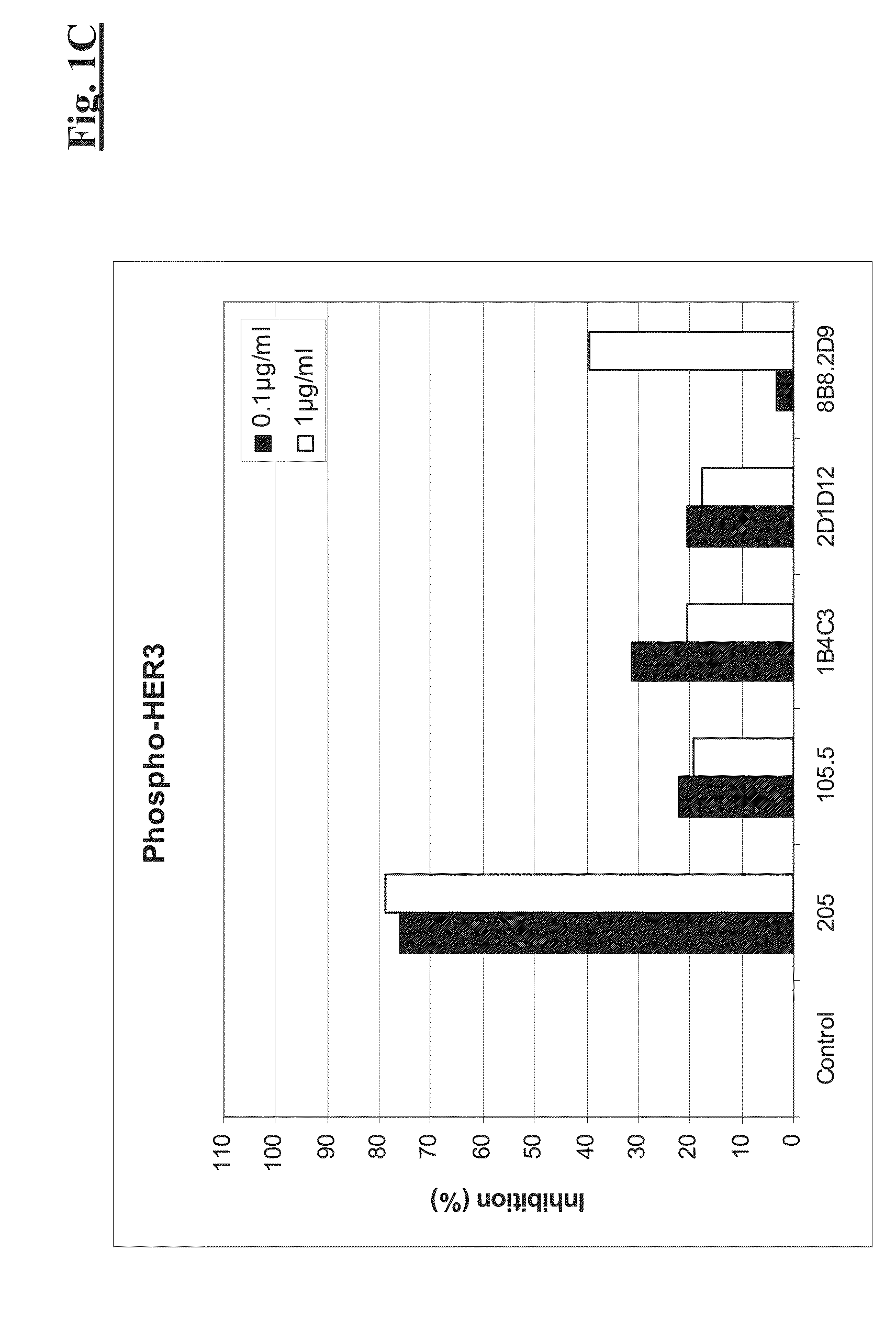 Combination therapy of Anti-her3 antibodies