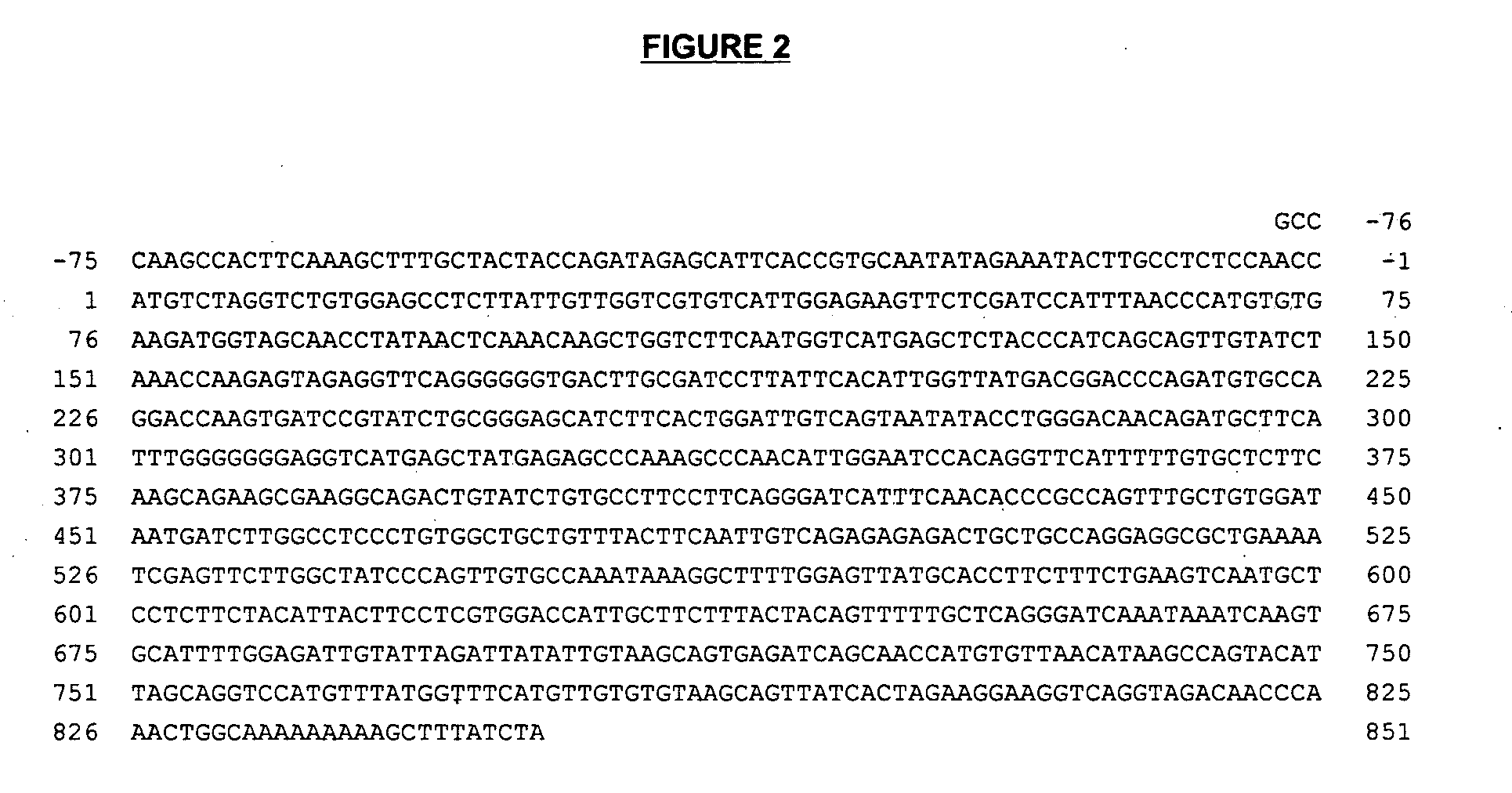 Method of repressing flowering in a plant