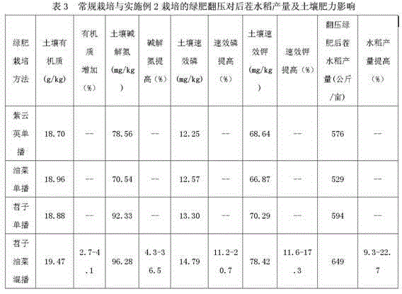 Green manure mixture sowing cultivation method capable of improving soil fertility and fresh grass yield of rice area