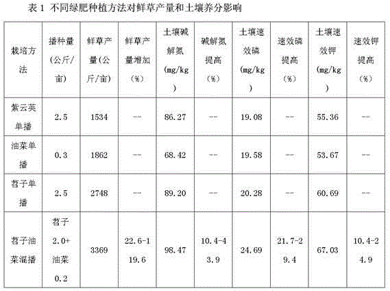 Green manure mixture sowing cultivation method capable of improving soil fertility and fresh grass yield of rice area