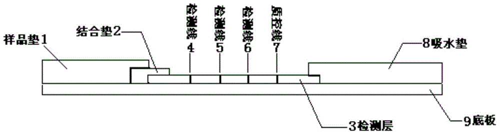 Human parainfluenza virus quantum dot immunochromatography typing detection card, preparation method and applications