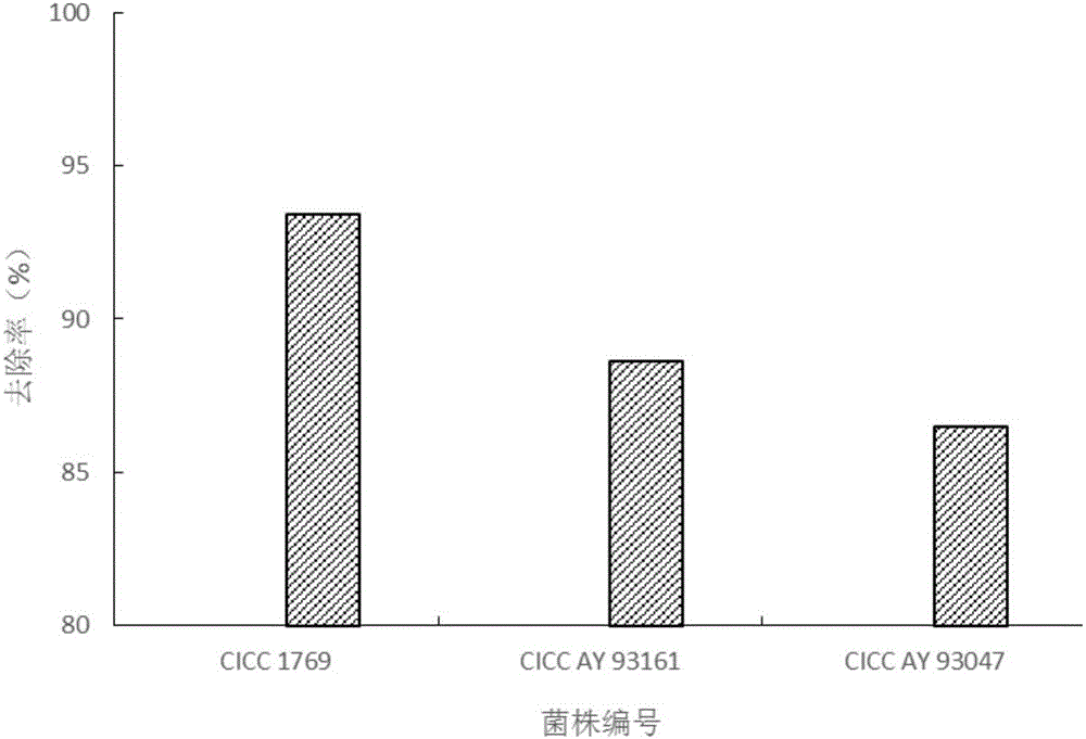 Method for removing patulin in orange juice by utilizing immobilized inactivated yeast cells of magnetic microspheres and application of method