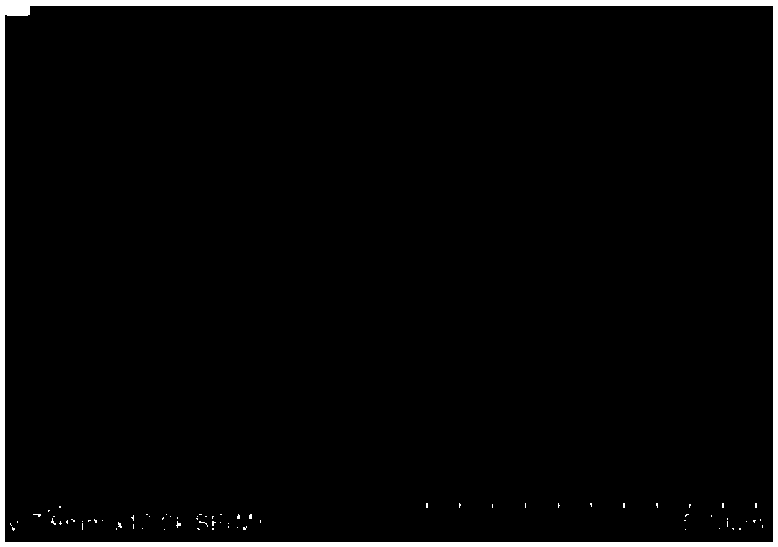 Method for producing hydrophobic DLC coating layer