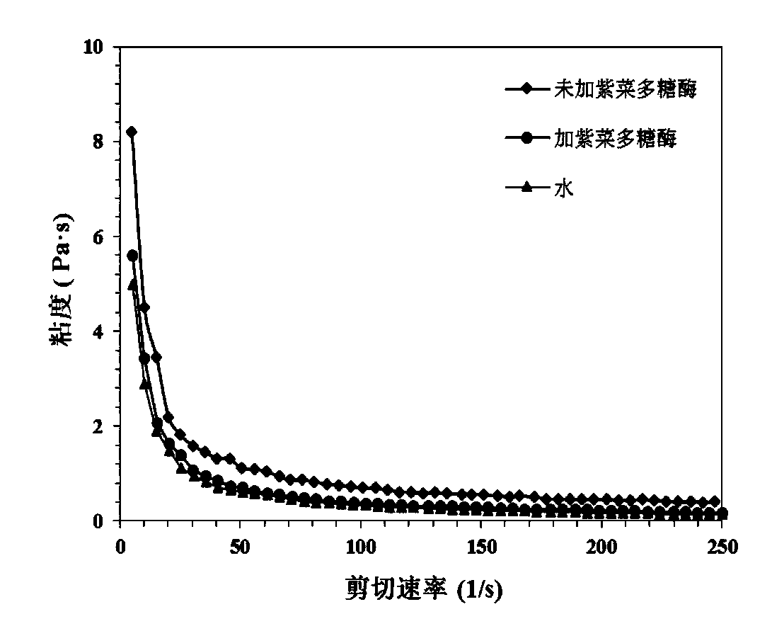 Porphyra refreshing beverage and preparation method thereof