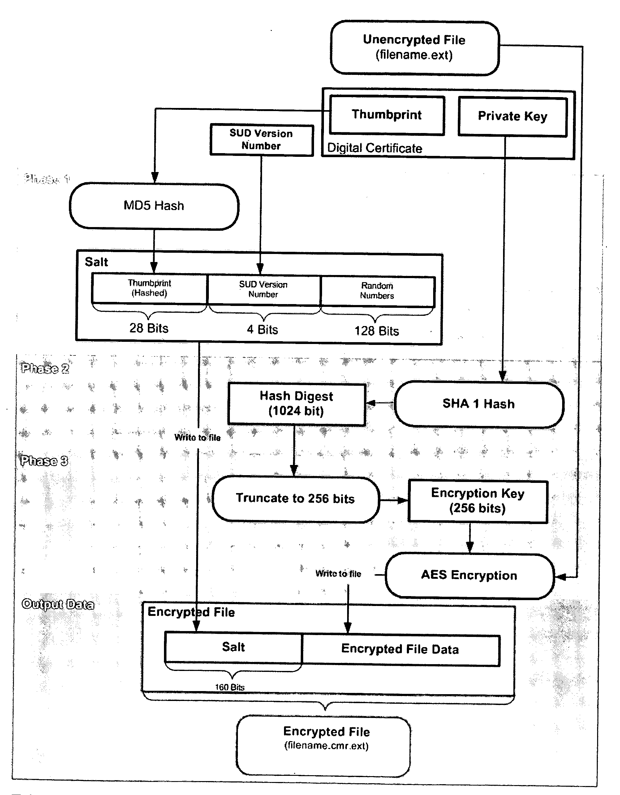 Digital information protection system