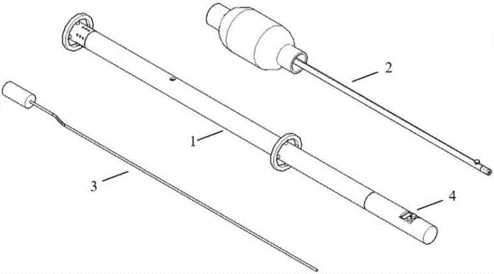 Device and method for measuring internal seepage pressure of tunnel surrounding rock