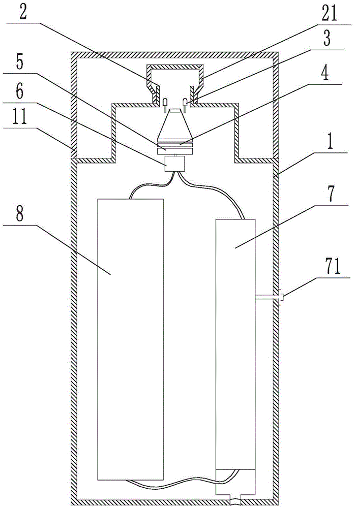 Portable near infrared spectrum detection system