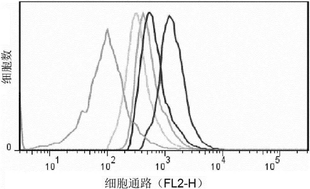 Tumor cell targeting mesoporous silicon nanometer assembly and preparation method for same