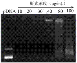 Preparation method of light-responsive pegized gene delivery system based on host-guest assembly