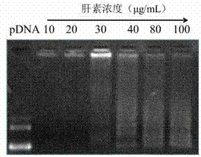 Preparation method of light-responsive pegized gene delivery system based on host-guest assembly