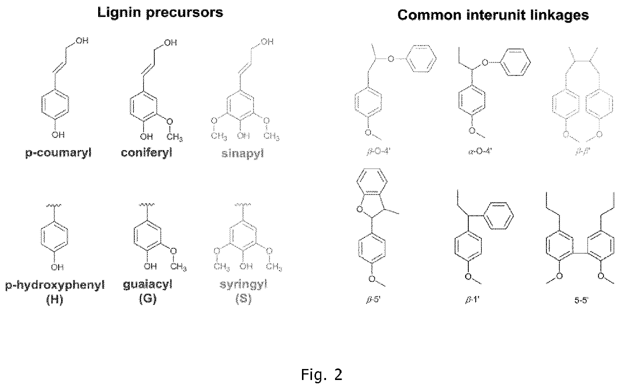 Method for producing oxidized lignins